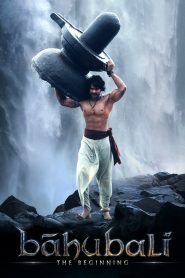 Bāhubali: The Beginning (2005) Dual | 480p, 720p, 1080p | GDrive & Watch Online