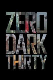 Zero Dark Thirty (2012) Dual | 480p, 720p, 1080p | GDrive & Watch Online