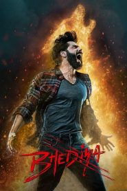 Bhediya (2023) Dual | 480p, 720p, 1080p | GDrive & Watch Online