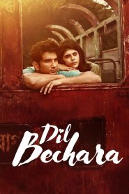 Dil Bechara (2020) Dual | 480p, 720p, 1080p | GDrive & Watch Online