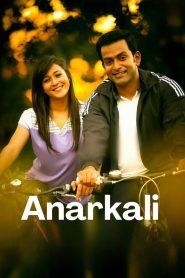 Anarkali (2015) Dual | 480p, 720p, 1080p | GDrive & Watch Online