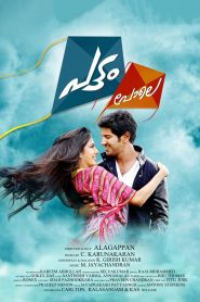 Pattam Pole (2013) Dual | 480p, 720p, 1080p | GDrive & Watch Online