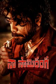 Naa Saami Ranga (2024) Hindi Dual | 480p, 720p, 1080p | GDrive & Watch Online