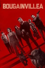 Bougainvillea (2024) Hindi Dual | 480p, 720p, 1080p | GDrive & Watch Online