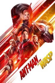 Ant-Man and the Wasp (2018) English Dual | 480p, 720p, 1080p | GDrive & Watch Online