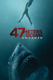 47 Meters Down: Uncaged (2019) English| 480p, 720p, 1080p | GDrive & Watch Online