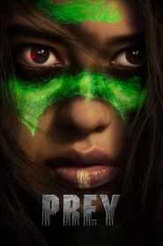 Prey (2022) English | 480p, 720p, 1080p | GDrive & Watch Online