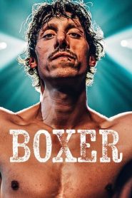 Boxer (2024) English Dual | 480p, 720p, 1080p | GDrive & Watch Online