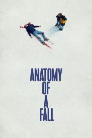 Anatomy of a Fall (2023) English Dual | 480p, 720p, 1080p | GDrive & Watch Online