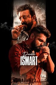 Double iSmart (2024) Hindi Dual | 480p, 720p, 1080p | GDrive & Watch Online