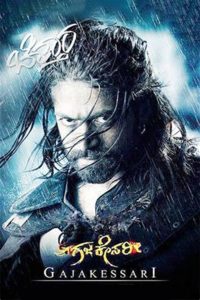 Gajakessari (2014) Hindi Dual | 480p, 720p, 1080p | GDrive & Watch Online