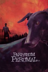 Pariyerum Perumal (2018) Hindi Dual | 480p, 720p, 1080p | GDrive & Watch Online