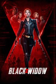 Black Widow (2021) English Dual | 480p, 720p, 1080p | GDrive & Watch Online