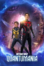 Ant-Man and the Wasp: Quantumania (2023) English Dual | 480p, 720p, 1080p | GDrive & Watch Online