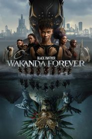 Black Panther: Wakanda Forever (2022) English Dual | 480p, 720p, 1080p | GDrive & Watch Online