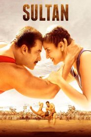 Sultan (2016) Hindi Dual | 480p, 720p, 1080p | GDrive & Watch Online