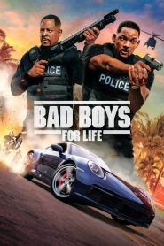 Bad Boys for Life (2020) English Dual | 480p, 720p, 1080p | GDrive & Watch Online