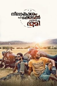 Neelakasham Pachakadal Chuvanna Bhoomi (2013) 480p, 720p, 1080p | GDrive & Watch Online