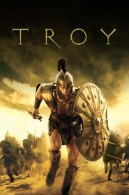 Troy (2004) English Dual | 480p, 720p, 1080p | GDrive & Watch Online