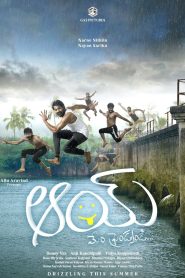 Aay (2024) Hindi Dual | 480p, 720p, 1080p | GDrive & Watch Online