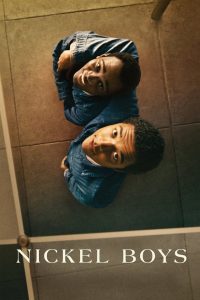 Nickel Boys 2024 AMZN WEB-DL [Dual Audio] 480p, 720p, 1080p | GDrive & Watch Online