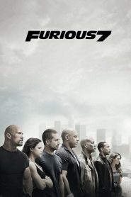 Furious 7 (2015) English Dual | 480p, 720p, 1080p | GDrive & Watch Online
