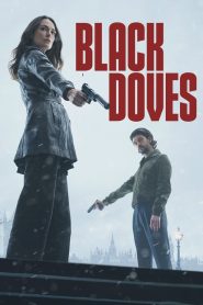 Black Doves 2024 (Season 1) WEB-DL {Dual Audio} 480p, 720p, 1080p | GDrive & Watch Online