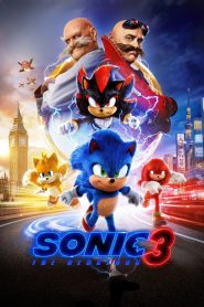 Sonic the Hedgehog 3 2024 WEB-DL [Dual Audio] 480p, 720p, 1080p | GDrive & Watch Online
