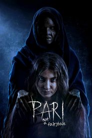 Pari 2018 WEB-DL [Hindi] 480p, 720p, 1080p | GDrive & Watch Online
