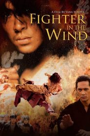 Fighter in the Wind 2004 WEB-DL [Dual Audio] 480p, 720p, 1080p | GDrive & Watch Online
