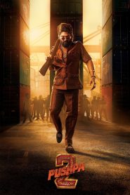 Pushpa 2 – The Rule 2024 Reloaded (2024) Official EXTENDED [Extra 30 Mins] Dual Audio [Hindi ORG & Telugu] ORG NETFLIX WEB-DL 480p, 720p & 1080p | GDRive [Official]