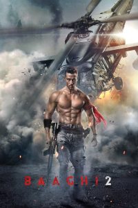 Baaghi 2 (2018) Hindi 1080p | GDrive & Watch Online