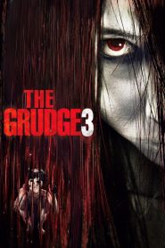 The Grudge 3 2009 BluRay [Dual Audio] 480p, 720p, 1080p | GDrive & Watch Online Full Movie Download