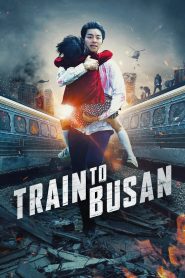 Train to Busan 2016 WEB-DL [Dual Audio] 480p, 720p, 1080p | GDrive & Watch Online Full Movie Download