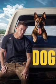 Dog 2022 AMZN WEB-DL [Dual Audio] 480p, 720p, 1080p | GDrive & Watch Online