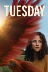 Tuesday 2024 NF WEB-DL [English] 480p, 720p, 1080p | GDrive & Watch Online