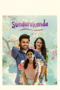 Sundarakanda (2025) DS4K WEB-DL [Hindi (DD5.1) & Telugu] 4K 1080p 720p & 480p Dual Audio [x264/10Bit-HEVC] | Full Movie Cinedhara.com
