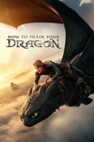 How to Train Your Dragon (2025) Dual Audio [Hindi Dubbed & English] WEB-DL 480p, 720p, 1080p & 2160p | Full Movie Download & Watch Online – Amazon | GDrive | ESub | Cinedhara.com