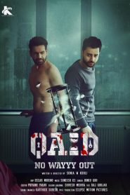 Qaid: No Wayyy Out (2024) Hindi WEB-DL 480p, 720p & 1080p | GDRive Cinedhara.com