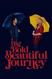 A Big Bold Beautiful Journey (2025) WEB-DL [Hindi (DD5.1) & English] 4K 1080p 720p & 480p Dual Audio [x264/10Bit-HEVC] | Full Movie Cinedhara.com