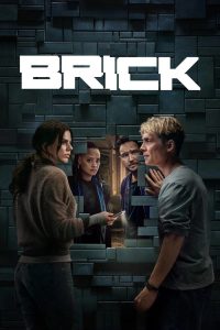 Brick (2025) WEB-DL [Hindi (DD5.1) & English] 1080p 720p & 480p Dual Audio [x264/10Bit-HEVC] | Full Movie Cinedhara.com