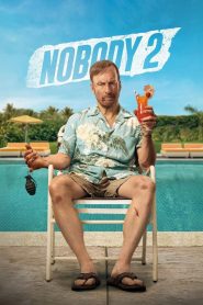 Nobody 2 (2025) Dual Audio [Hindi ORG & ENG] WEB-DL 480p, 720p, 1080p & 4K UHD 2160p | GDRive Cinedhara.com