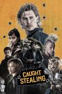 Caught Stealing (2025) English WEB-DL 480p, 720p & 1080p | Full Movie Download & Watch Online – GDrive | ESub | Cinedhara.com