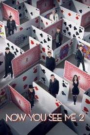 Now You See Me 2 2016 BluRay [Dual Audio] 480p, 720p & 1080p Full Movie Download | GDRive | ESub | Cinedhara.com