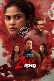 Ziddi Ishq (Season 1) DS4K WEB-DL [Hindi DD5.1] 4K 1080p 720p & 480p [x264/HEVC] HD | ALL Episodes Cinedhara.com
