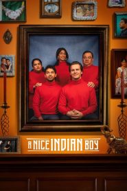 A Nice Indian Boy (2025) Dual Audio [Hindi Dubbed & English] WEB-DL 480p, 720p & 1080p | Full Movie Download & Watch Online – GDrive | ESub | Cinedhara