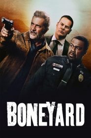 Boneyard 2024 (Dual Audio Hindi-English) 720p & 1080p | Full Movie Download & Watch Online – GDrive | ESub | CineDhara.com