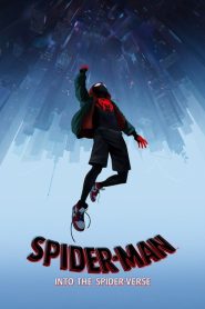 Spider-Man: Into the Spider-Verse (2018) (Dual Audio) 720p & 1080p | Full Movie Download & Watch Online – GDrive | ESub | CineDhara.com