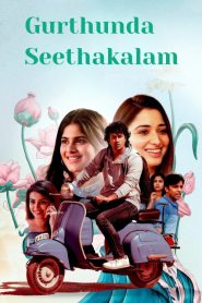 Gurthunda Seethakalam (2022) DUAL AUDIO [Hindi-Telugu] WEB-DL 720p & 1080p | GDRive| CineDhara.Com