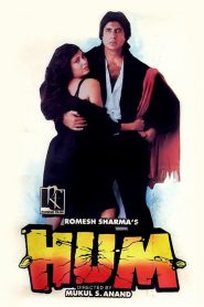 Hum (1991) HINDI WEBRip 1080p | GDRive| CineDhara.Com